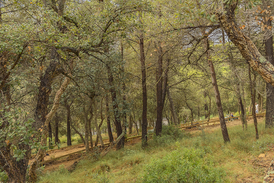Coches eléctricos para niños en Camping Cala Gogo Internacional