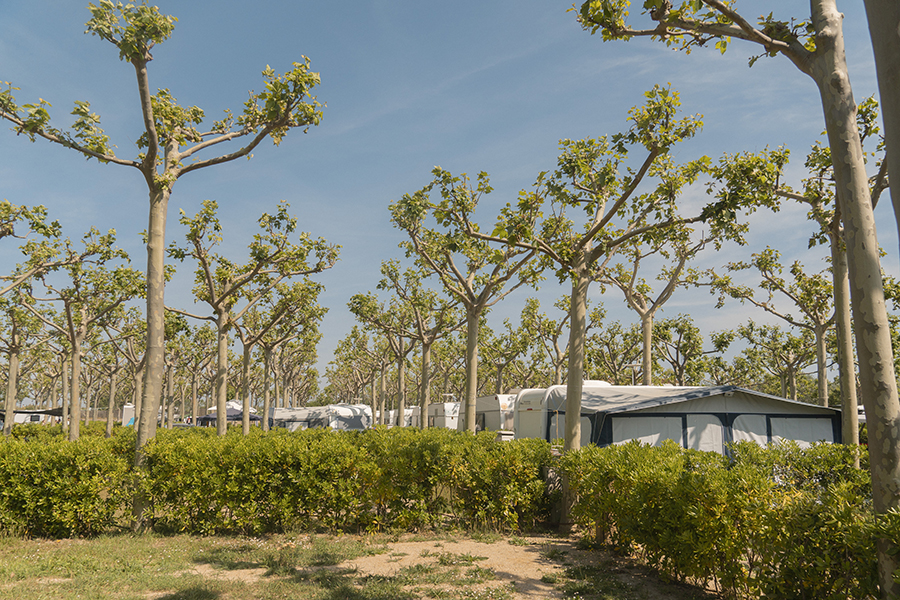 Camping Riu-Parcela confort-camping para caravanas y autocavravanCamping Riu-Parcela confort-Camping para caravanas y autocavravanas en Sant Pere Pescador Catalunya