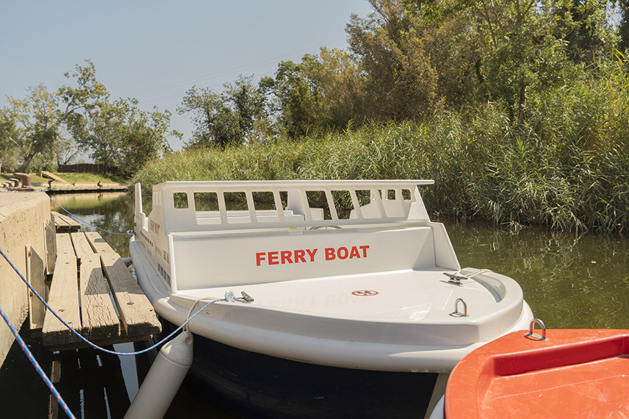 Barcas eléctricas para niños en el camping sènia riu