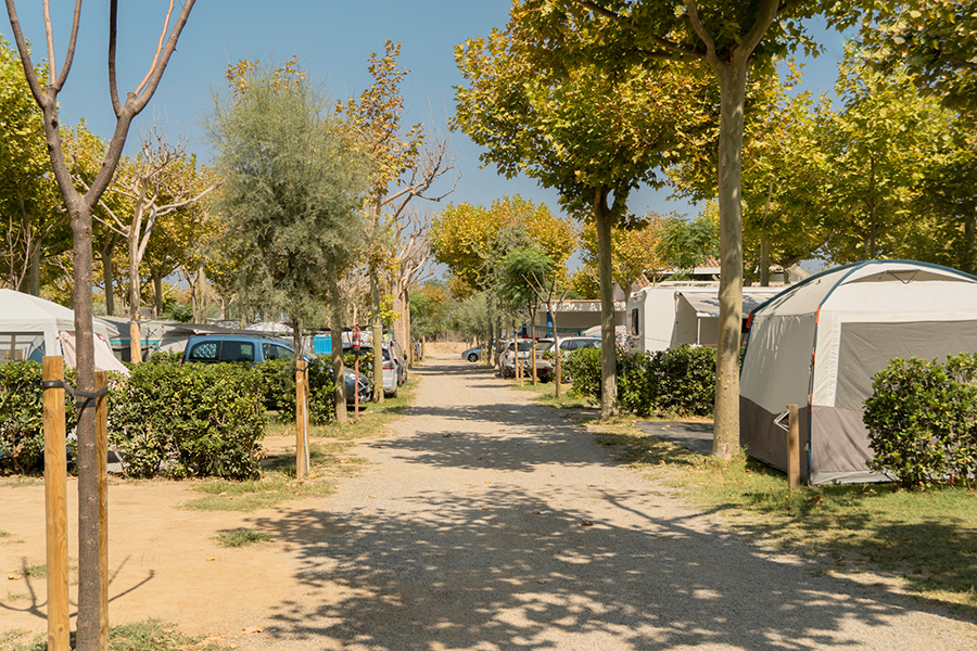 Camping Riu-Parcela confort-camping para caravanas y autocavravanCamping Riu-Parcela confort-Camping para caravanas y autocavravanas en Sant Pere Pescador Catalunya