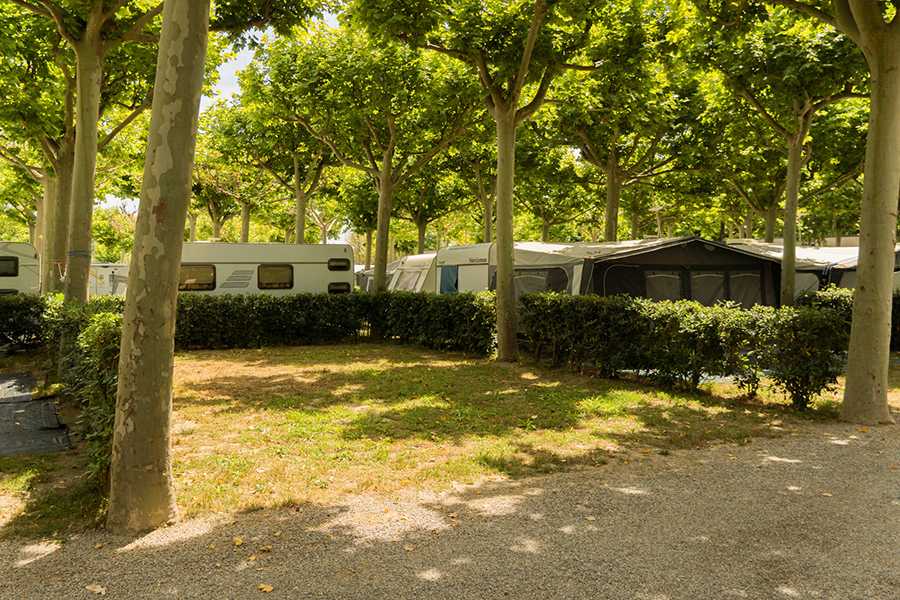 Camping Riu-Parcela confort-camping para caravanas y autocavravanCamping Riu-Parcela confort-Camping para caravanas y autocavravanas en Sant Pere Pescador Catalunya