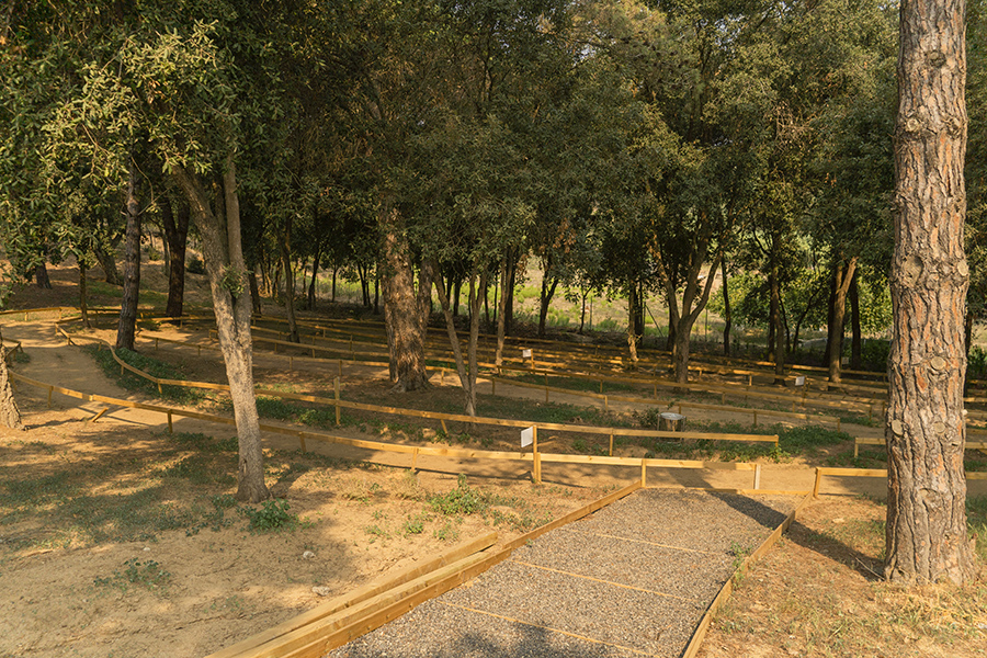 Coches eléctricos para niños