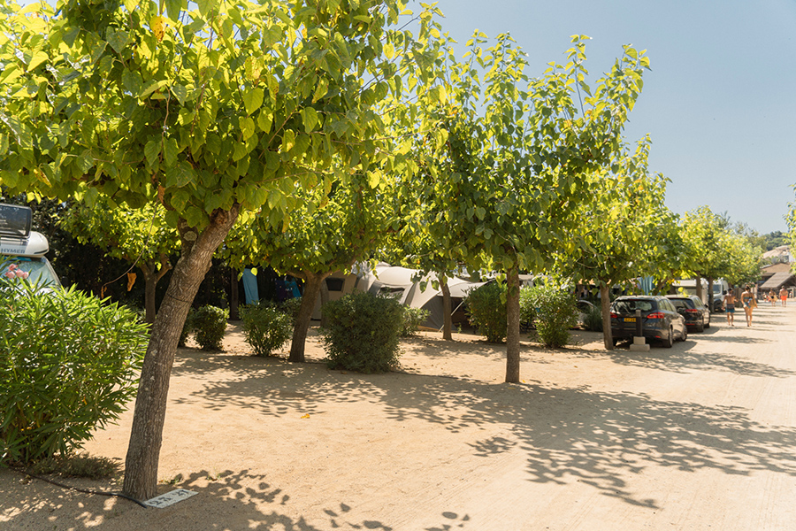 Camping_tucan_parcela Xl_camping parcelas1