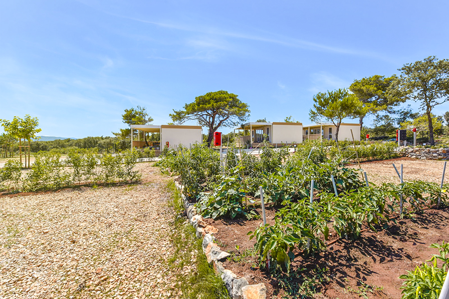 Premium Pitch Ugljan