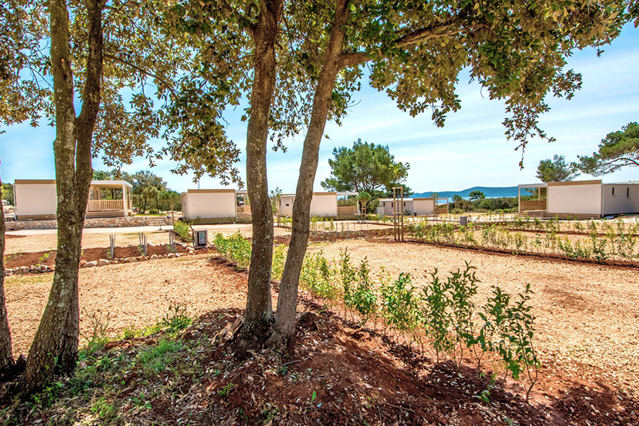 Premium Pitch with trees