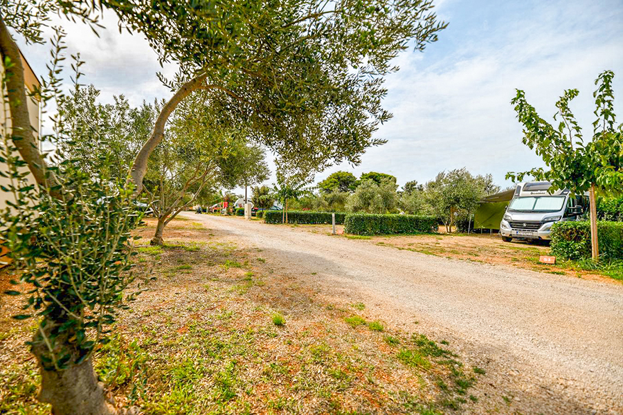 Parcela Superior Ugljan