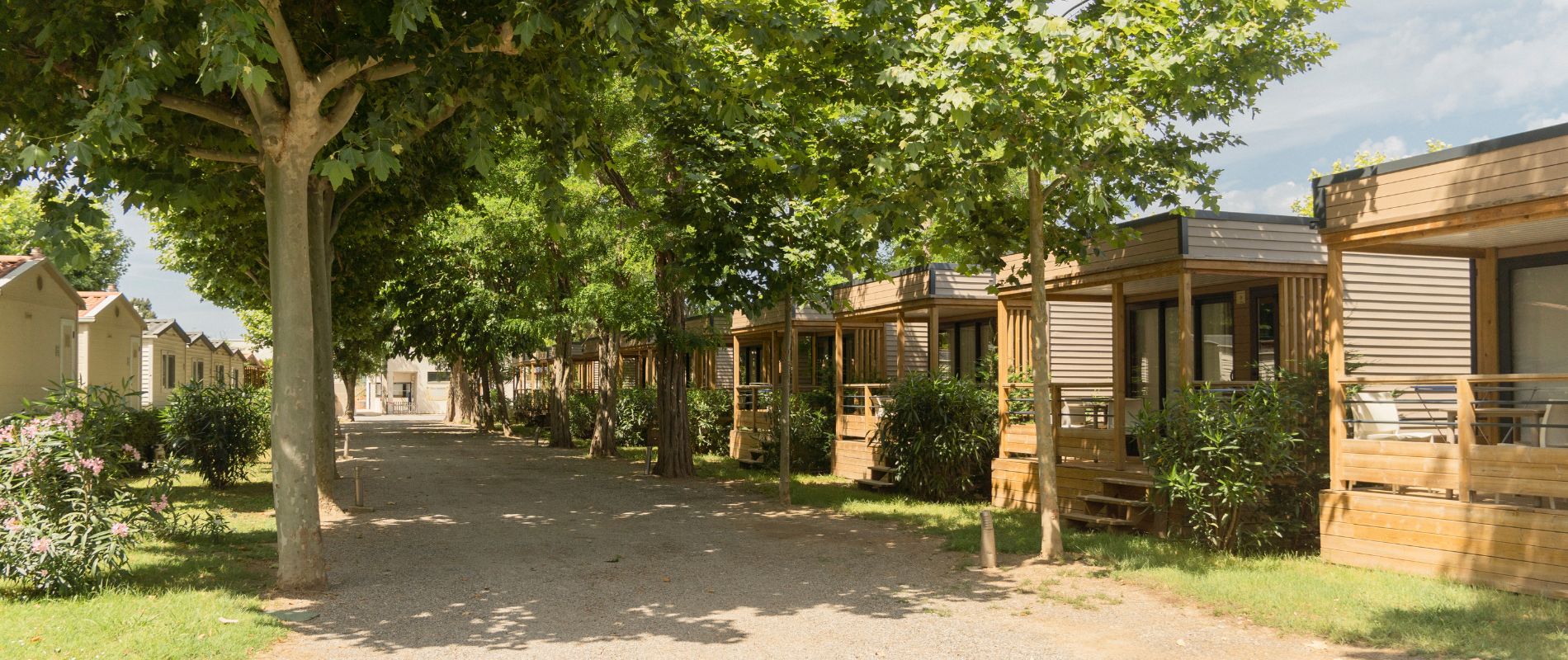 Warum Sènia wählen