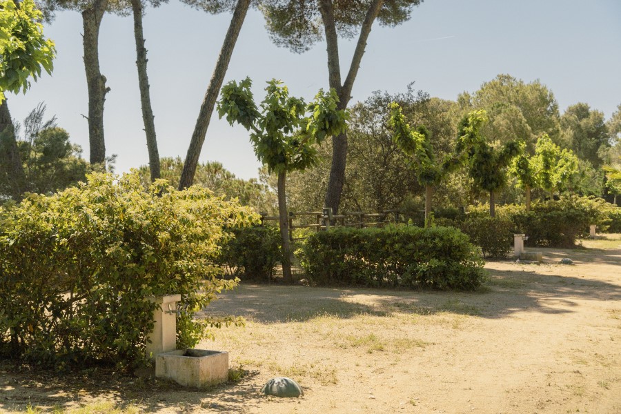 Karavana Confort Plaža