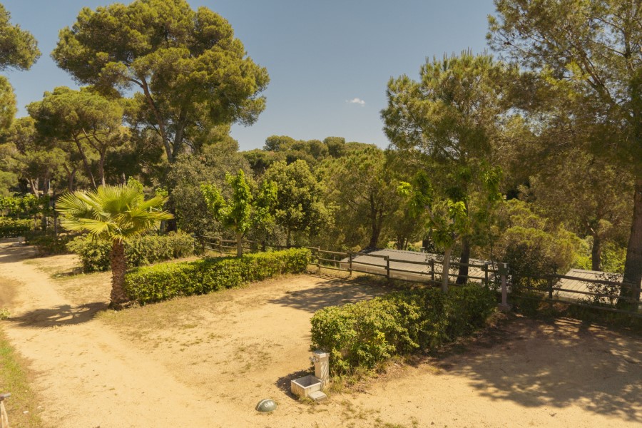 Kamp Cala Gogo - Parcela Confort - plaža - Kampiranje s prikolico na plaži