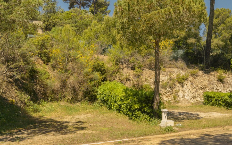 Kamp Cala Gogo - Parcela Standard - plaža - Kampiranje na plaži