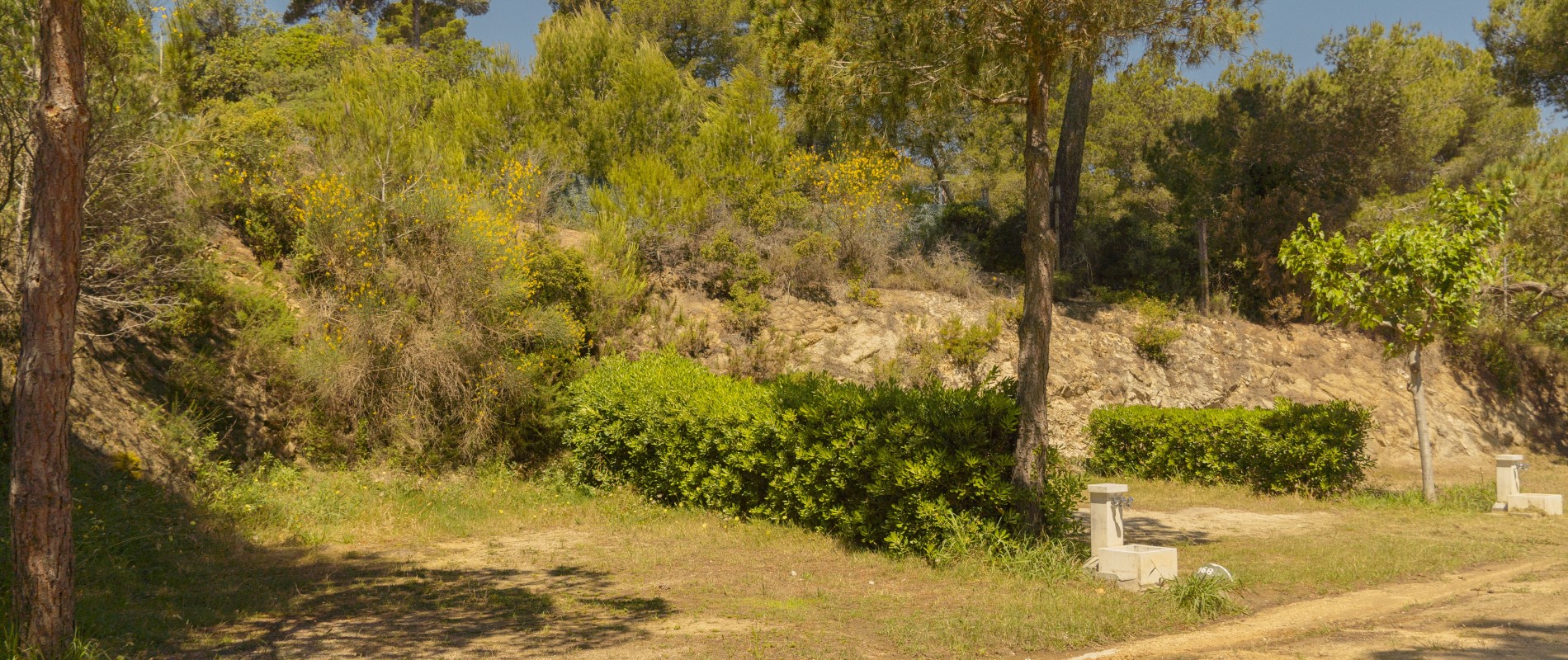 Parcela za karavan Standard Plaža │ Cala Gogo