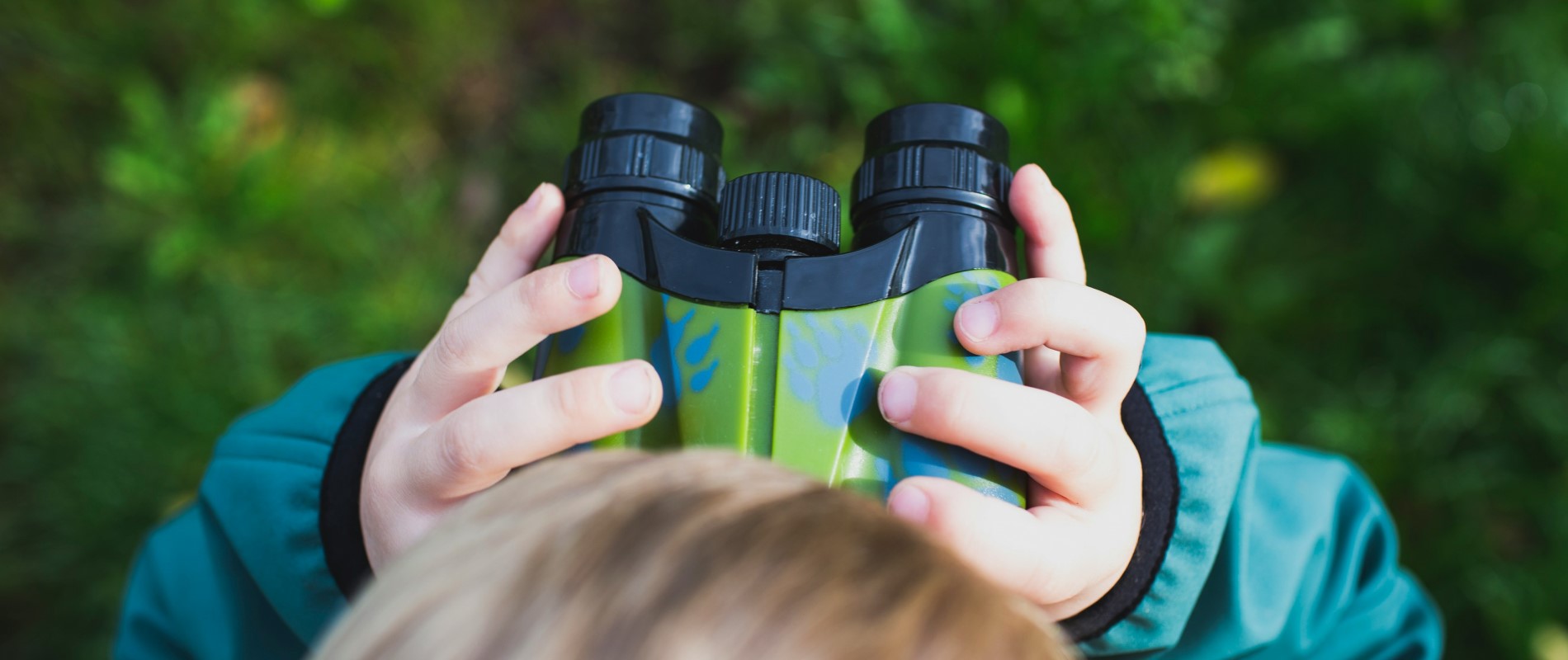 Descubre la flora y fauna durante tus vacaciones