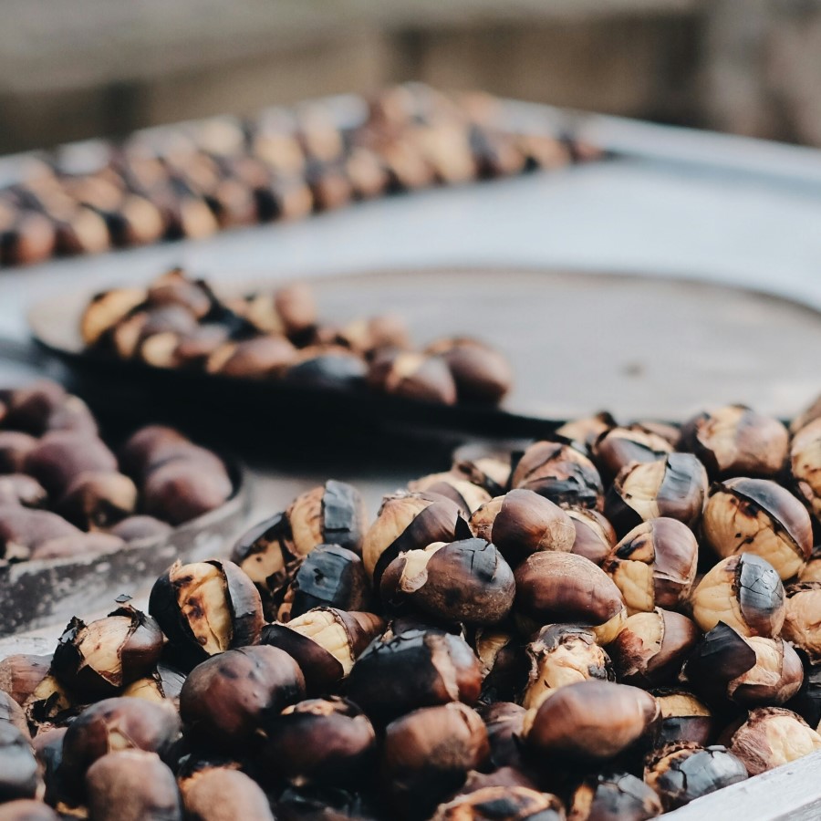 Eventos en Noviembre