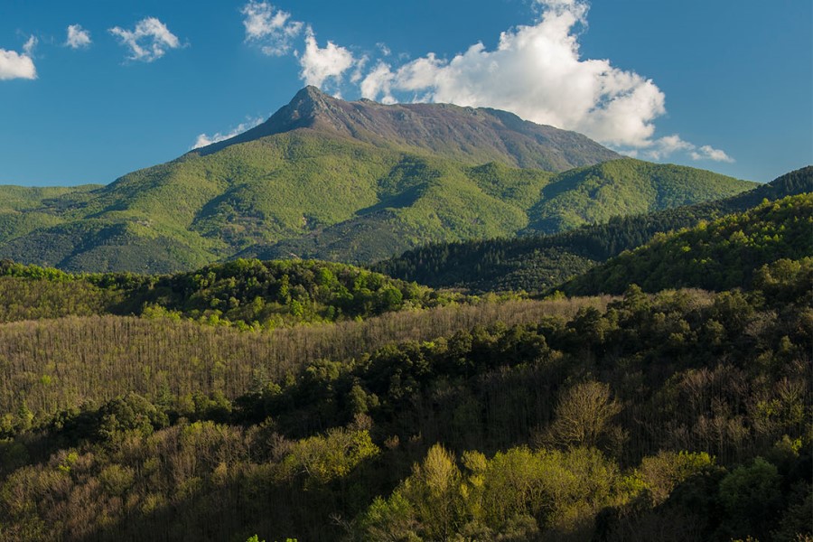 Parque natural del Montseny, Cataluña