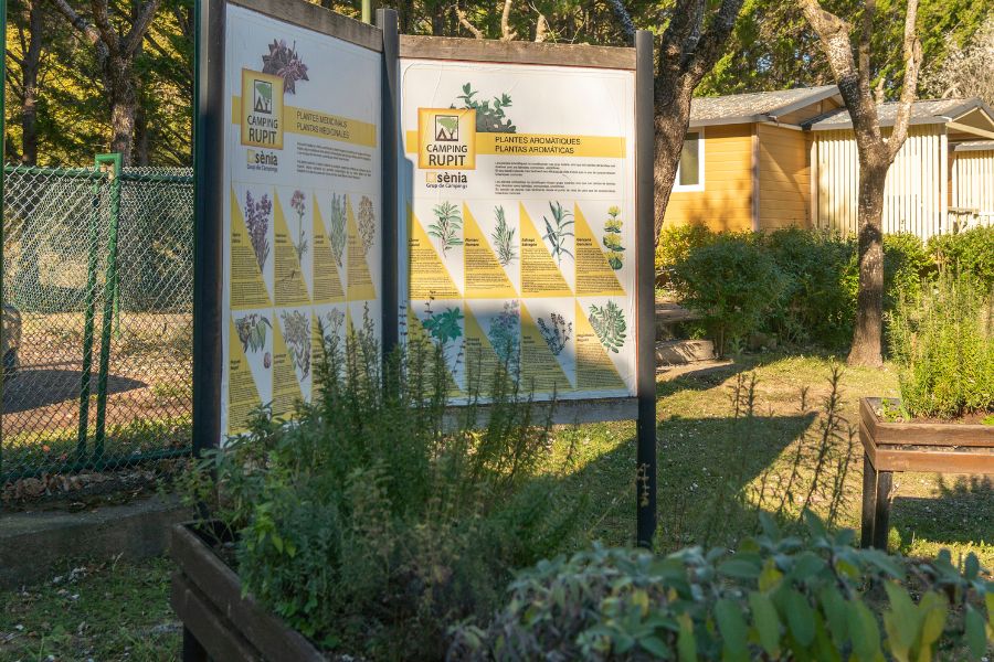Cartell informatiu de plantes aromàtiques i medicinals al càmping senia rupit