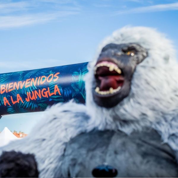 Kong Race Senia Water Edition